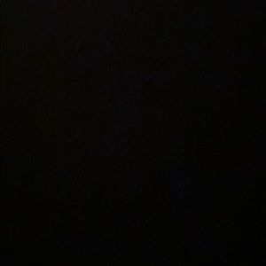 Meet your Posher, Leiloni